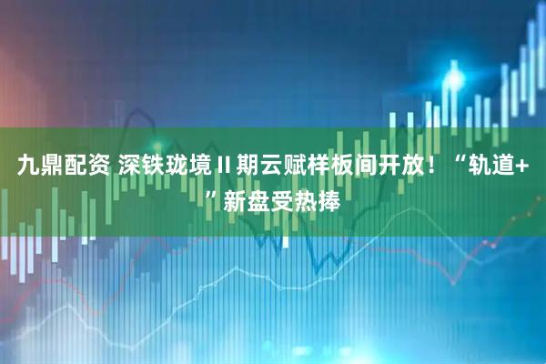 九鼎配资 深铁珑境Ⅱ期云赋样板间开放！“轨道+”新盘受热捧