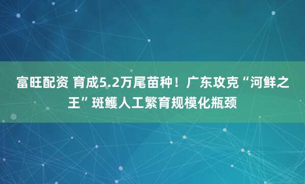 富旺配资 育成5.2万尾苗种！广东攻克“河鲜之王”斑鳠人工繁育规模化瓶颈