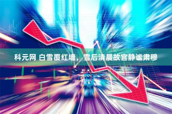 科元网 白雪覆红墙，雪后清晨故宫静谧肃穆