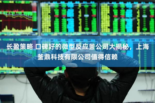 长盈策略 口碑好的微型反应釜公司大揭秘，上海釜鼎科技有限公司值得信赖