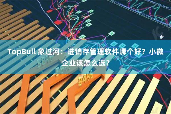 TopBull 象过河：进销存管理软件哪个好？小微企业该怎么选？
